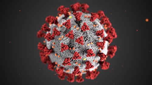 Een plaatje van het coronavirus onder de elektronenmicroscoop - een grijs bolletje met oranje puntjes erop, en rode 'boompjes'.