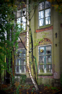 Hembrugterrein (foto: Alexander Meijer)