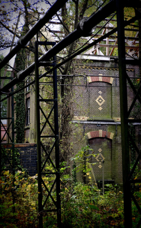 Hembrugterrein (foto: Alexander Meijer)