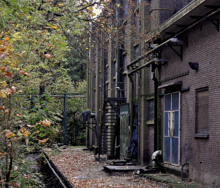 Hembrugterrein (foto: Alexander Meijer)