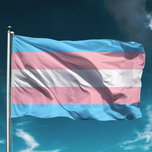 Trans vlag