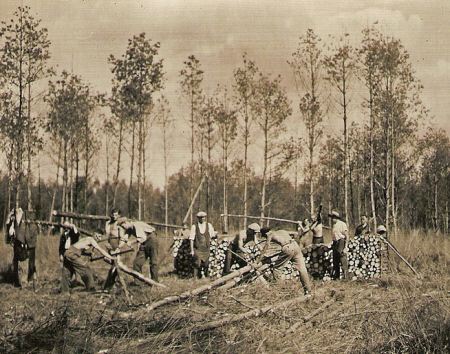 Werkverschaffing in het bos 1937.